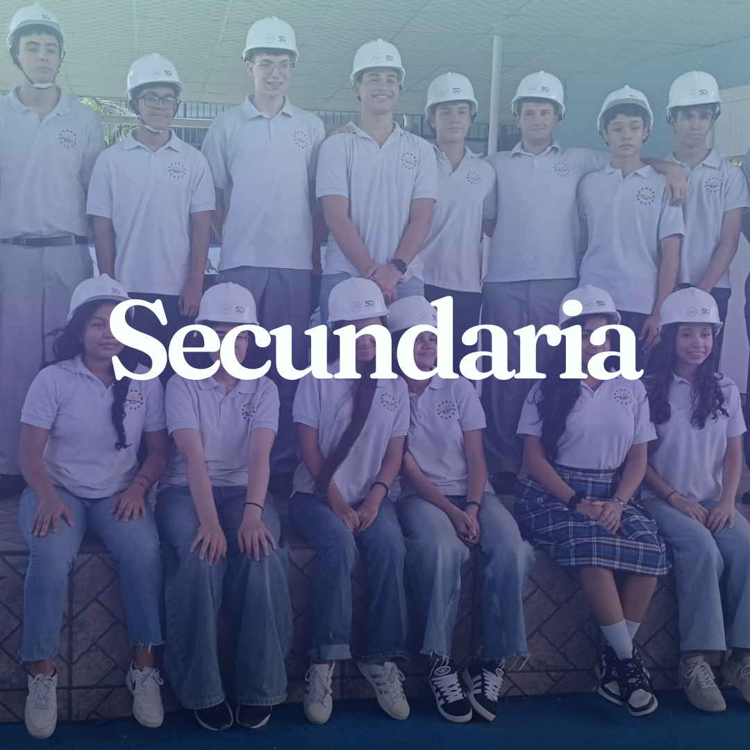 Secunadria web